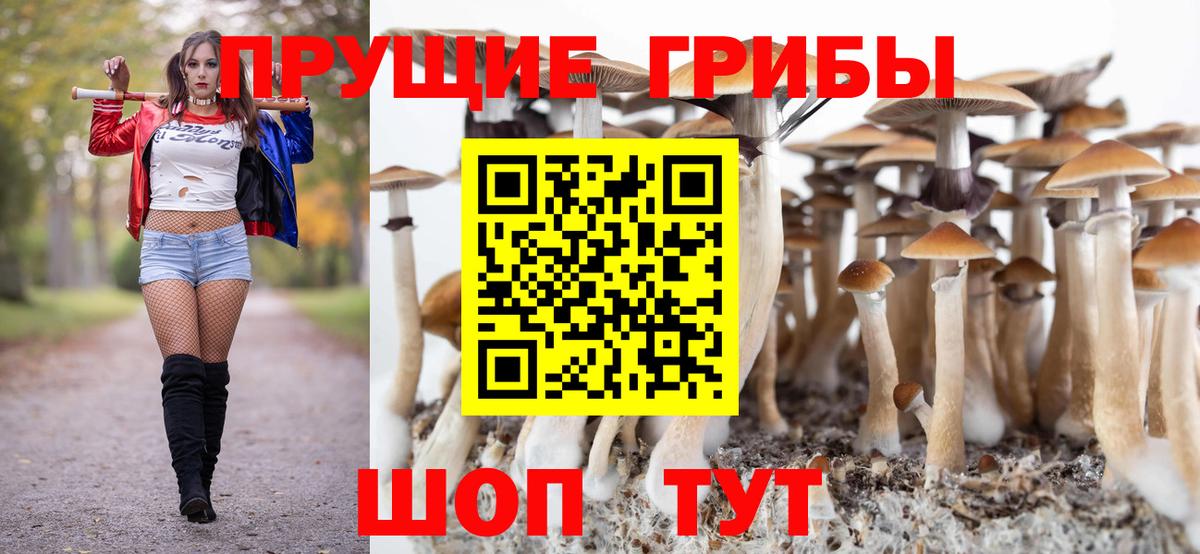 Галлюциногенные грибы Psilocybe Углич